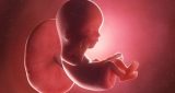 12 أسبوع من الحمل: نمو الطفل والتغيرات في المرأة