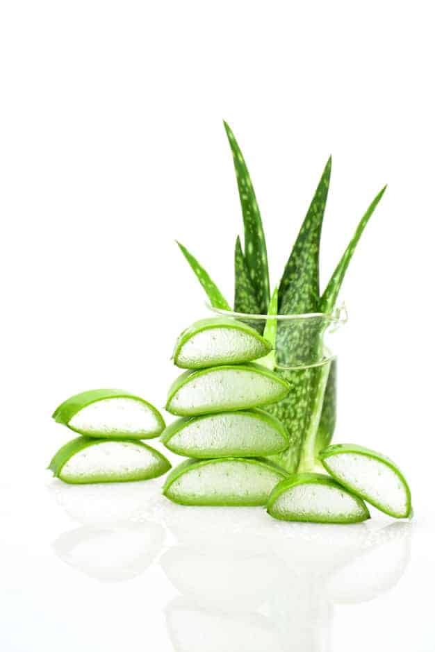 Slice aloe vera useful herbal medicine for skin care and hair care ...