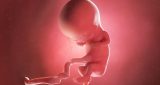 11 أسبوع من الحمل: نمو الطفل والتغيرات في المرأة