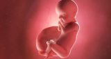 30 أسبوع من الحمل: نمو الطفل والتغيرات في المرأة