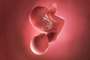 صورة الجنين في 39 أسبوع من الحمل