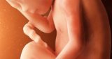 26 أسبوع من الحمل: نمو الطفل والتغيرات في المرأة