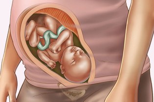 صور الجنين في 33 أسبوع من الحمل - أونيلا