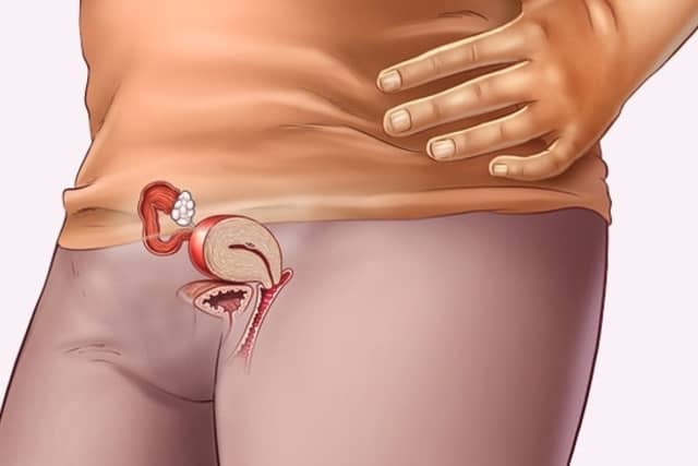 كيف يتطور الجنين في بطن امه