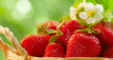 5 فوائد الفراولة للبشرة أسرار لم تعرفها من قبل